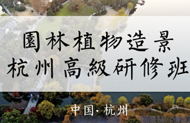 專題策劃