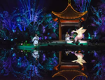 水中仙子，花開韓城丨2017全國首屆睡蓮文化節開幕式驚艷韓城！
