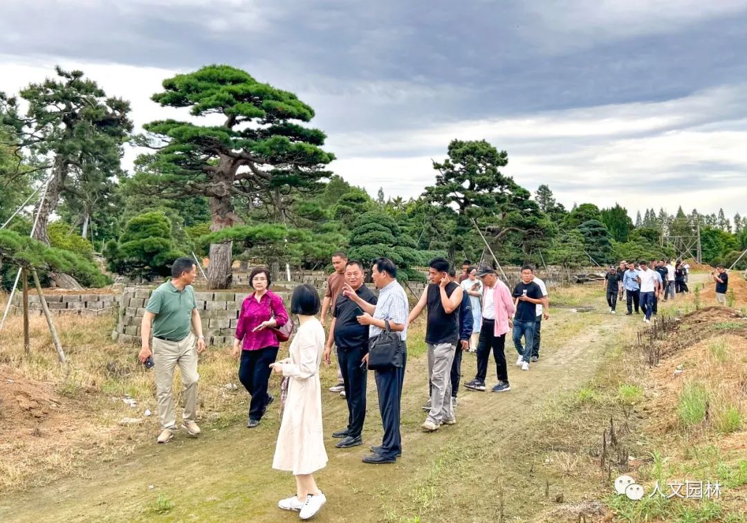 人文動態|陳勝洪董事長主持杭州市苗木商會會議，帶領全體會員考察2個精品苗圃