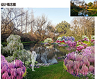 人文花展｜2023太子灣春季花事活動(dòng)已開(kāi)啟，人文園林“錦上添花”受邀參展，敬請(qǐng)期待！
